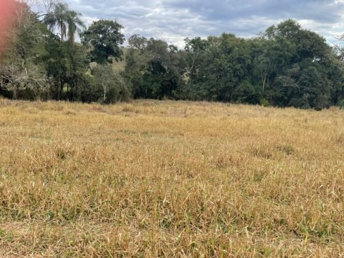Campo aberto do sítio à venda em Rio Claro/SP
