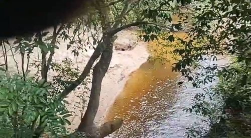 Rio na divisa do sítio em Corumbataí SP