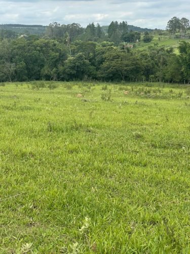 Área de pastagem do sítio em Corumbataí SP