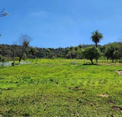 Vista da pastagem do sítio próximo a Brotas SP