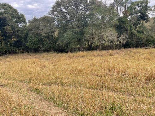 Área de pastagem do sítio em Rio Claro/SP