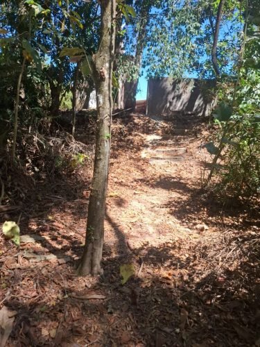 Trilha privativa da chácara à venda no Condomínio Araguaia em Araras SP