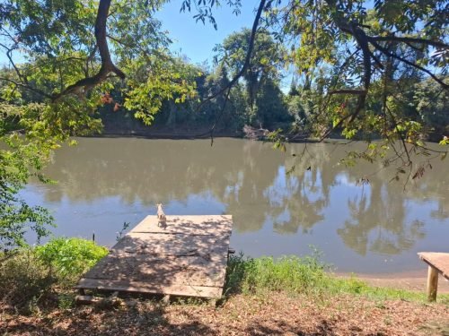 Vista do Rio Mogi na chácara à venda no Condomínio Araguaia