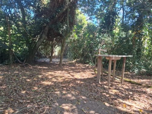 Área arborizada próxima ao Rio Mogi no Condomínio Araguaia