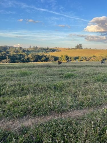 Área aberta para formação de sítio em Corumbataí