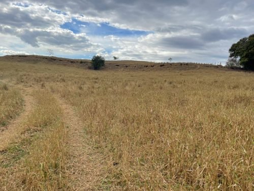 Sítio à venda em Rio Claro/SP com 4 alqueires formados em pasto