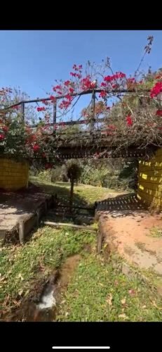 Jardim arborizado da chácara à venda em Itirapina/SP